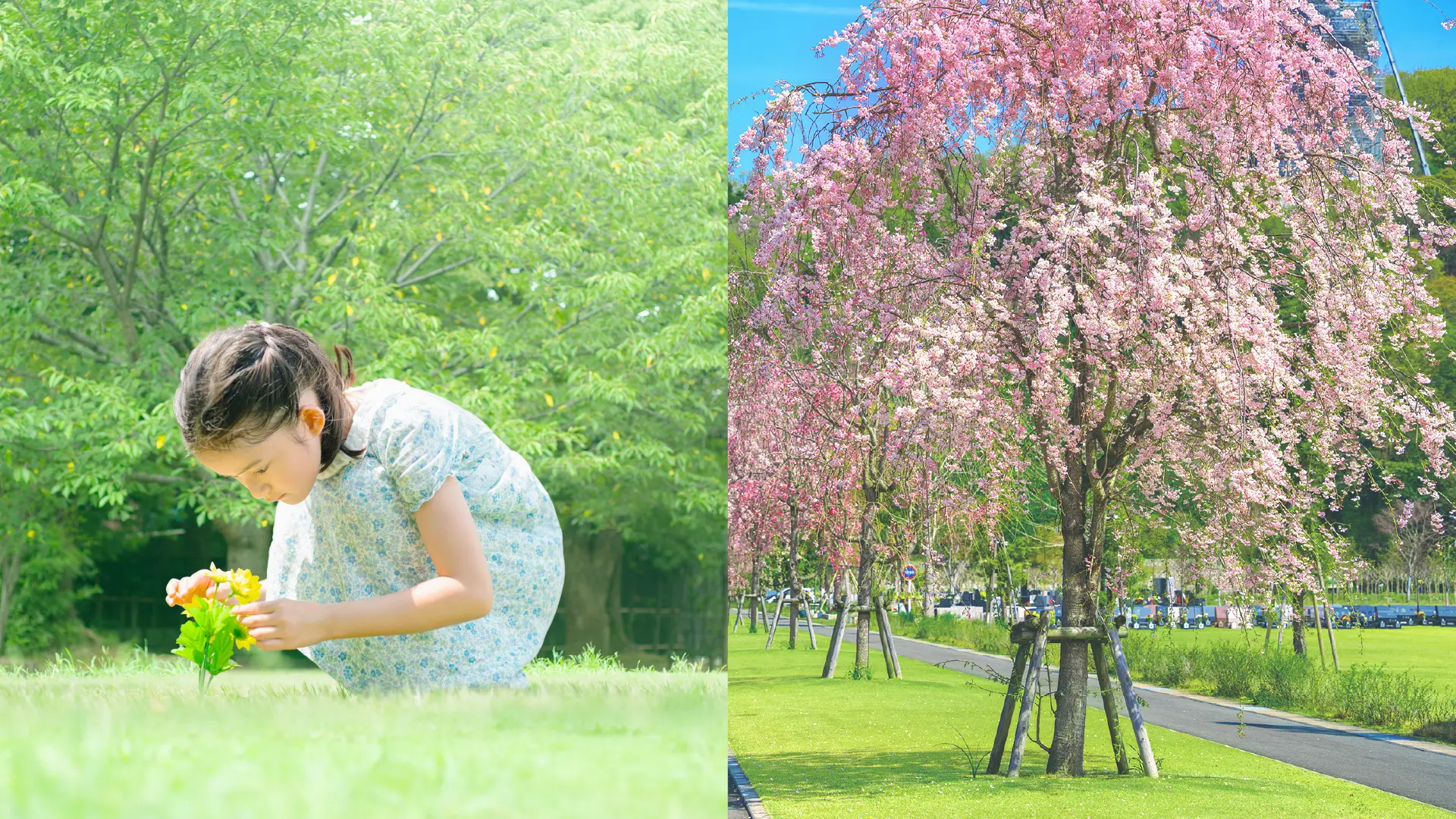 「他愛のない話を山ほどしよう。めぐる季節をともに歩もう。」イメージ