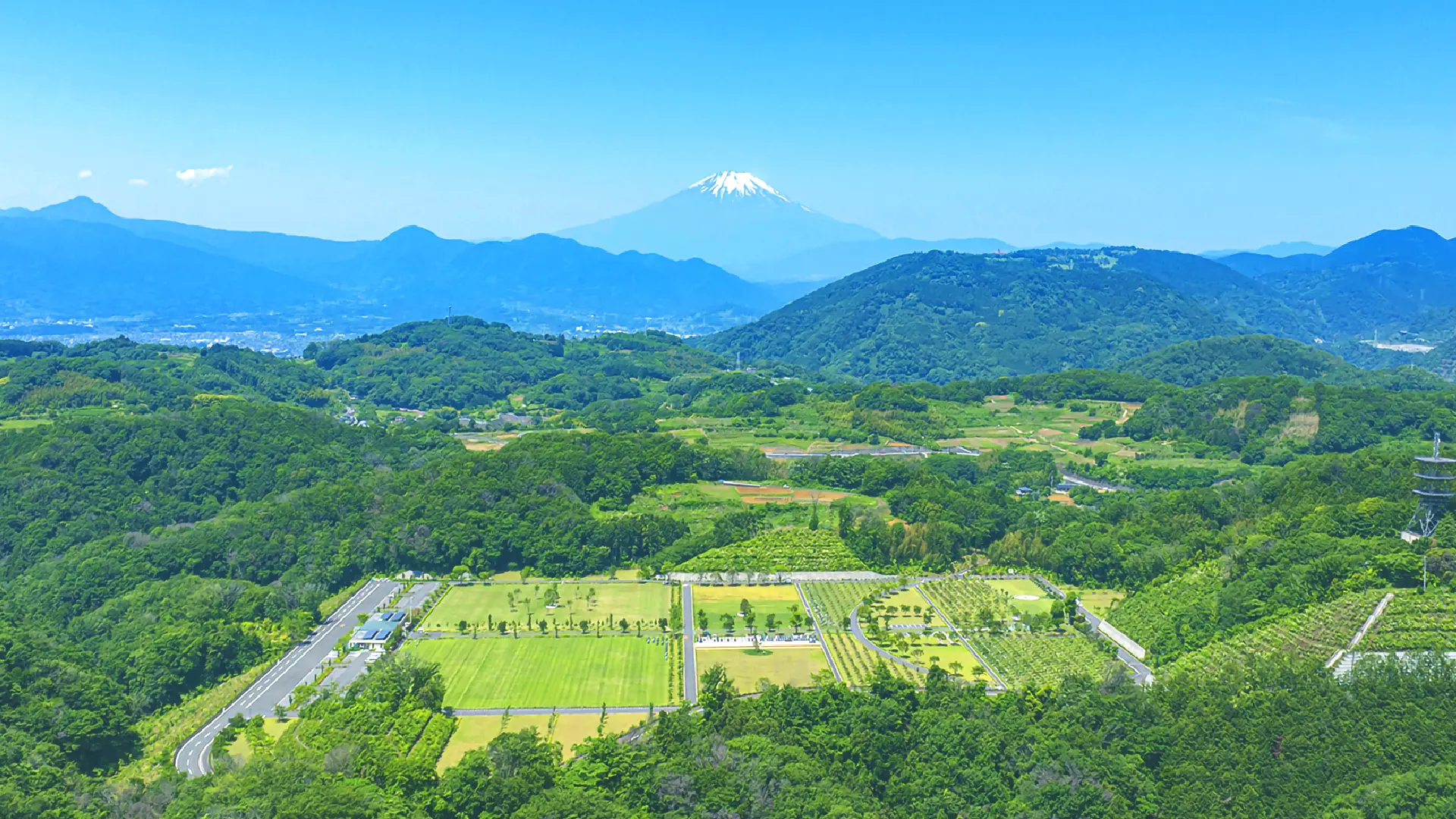 「ここは絆の森」イメージ