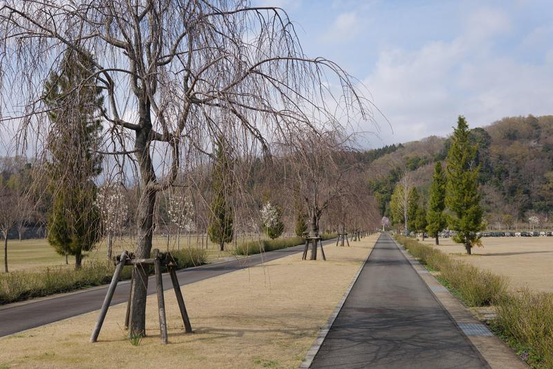 P1000669.JPG
